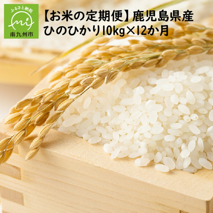 【ふるさと納税】【全12回】鹿児島県産米ひのひかり10kg定期便...