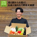 【ふるさと納税】定期便 4回 道の駅からお届け 産地直送 新鮮 お米 採れたて 野菜 旬 果物 農産物 農産物加工品 7～10品 おまかせ 詰め合わせ セット 国産 お取り寄せ お取り寄せグルメ 鹿児島県 南九州市 送料無料