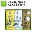 【ふるさと納税】心潤す光印の後岳知覧茶「霧若藤」「霧若草」や