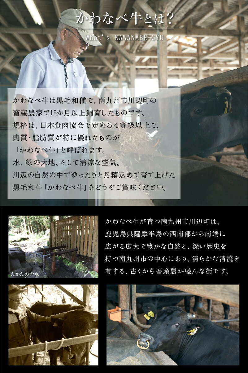 鹿児島県南九州市の画像3