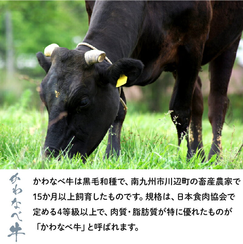 鹿児島県南九州市の画像3