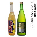 【ふるさと納税】上等梅酒知覧茶・ボンタンアメのお酒セット...