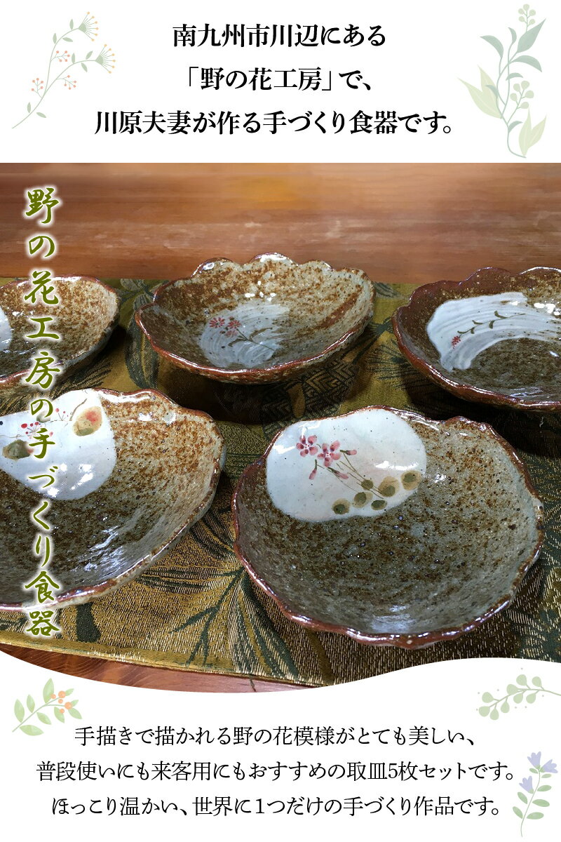 鹿児島県南九州市の画像2