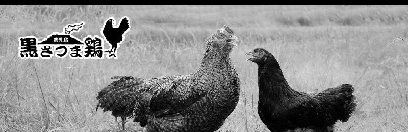 鹿児島県南九州市の画像2
