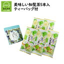 【ふるさと納税】美味しい知覧茶5本入 ティーバッグ付 【ふるさと納税】美味しい知覧茶5本入 ティーバッグ付