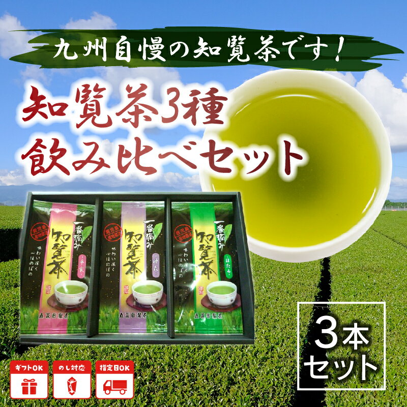 【ふるさと納税】知覧茶3種飲み比べセットが大人気返礼品になっている理由とは　ふるさと納税　人気　返礼品　ランキング