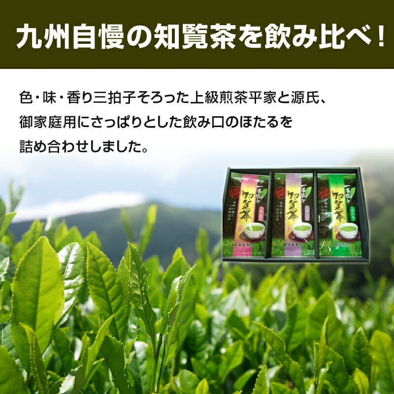 【ふるさと納税】知覧茶3種飲み比べセットが大人気返礼品になっている理由とは　ふるさと納税　人気　返礼品　ランキング
