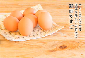 【ふるさと納税】「菊ちゃんちの新鮮たまご」10個入小分けパック×6パック(おみやげ用手提げ袋付き)