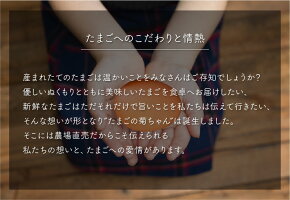 【ふるさと納税】菊ちゃんのたまご10個入×6パック