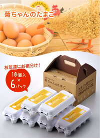【ふるさと納税】「菊ちゃんちの新鮮たまご」10個入小分けパック×6パック(おみやげ用手提げ袋付き)