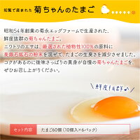 【ふるさと納税】「菊ちゃんちの新鮮たまご」10個入小分けパック×6パック(おみやげ用手提げ袋付き)