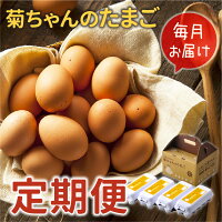 【ふるさと納税】菊ちゃんのたまご毎月お届け定期便