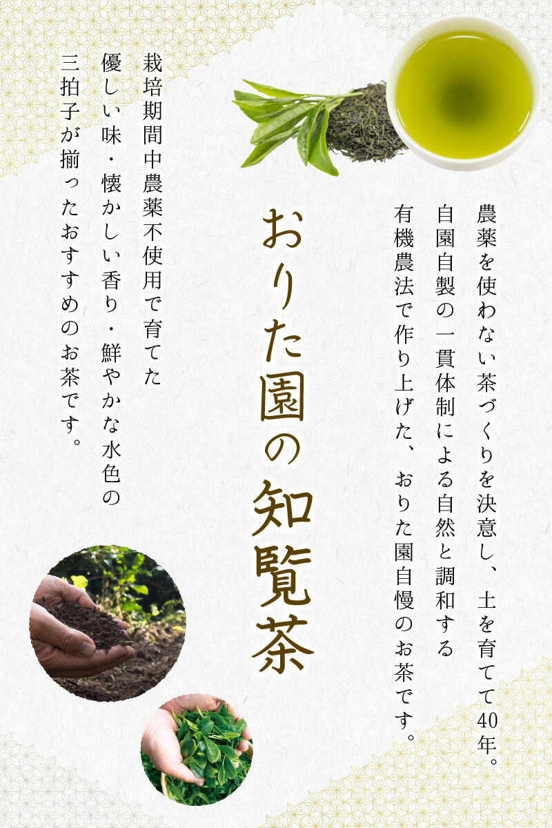 鹿児島県南九州市の画像3