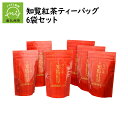 【ふるさと納税】和紅茶 知覧紅茶 ティーバッグ 3g × 20個入 6袋 セット 紅ふうき スッキリした後味 驚くほどの美味しさ お手軽 南九州..