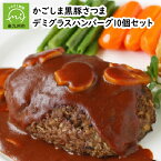 【ふるさと納税】かごしま 黒豚 さつま デミグラス ハンバーグ 10個 セット デミグラスソース ジューシー 美味しい 簡単 便利 温めるだけ 時短 おかず のし対応 ギフト お取り寄せ お取り寄せギフト ISO22000取得 国産 豚肉 鹿児島県 南九州市 送料無料