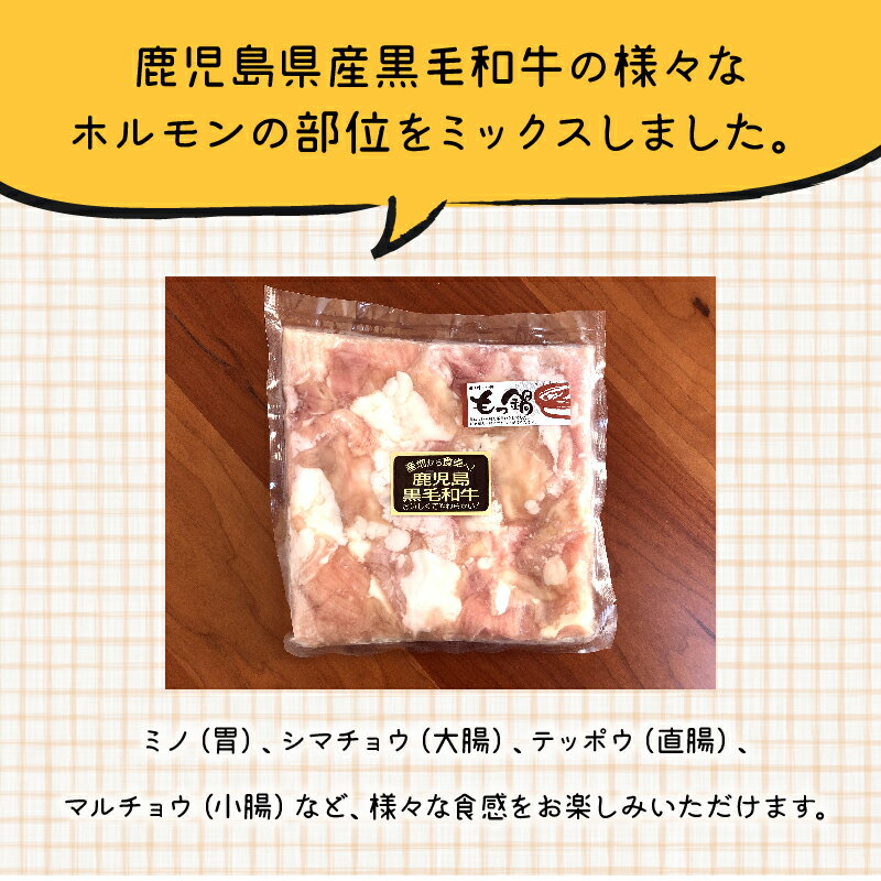 鹿児島県南九州市の画像3