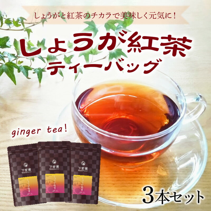 【ふるさと納税】しょうが紅茶ティーバッグ15個入×3パック