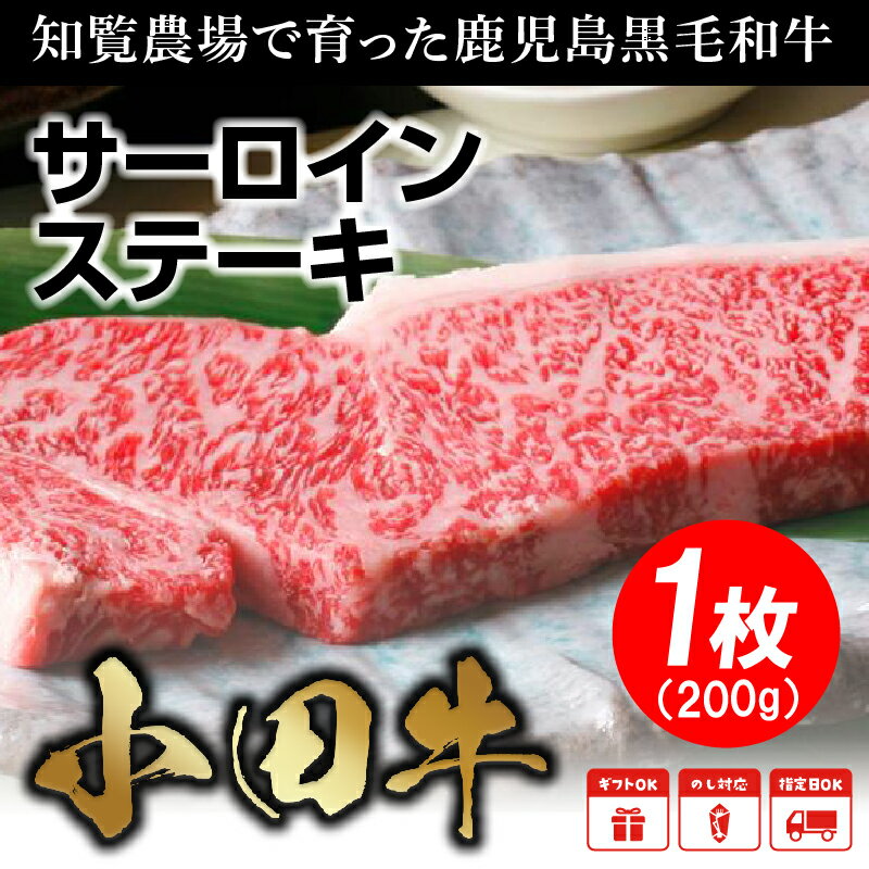 鹿児島県南九州市の画像2