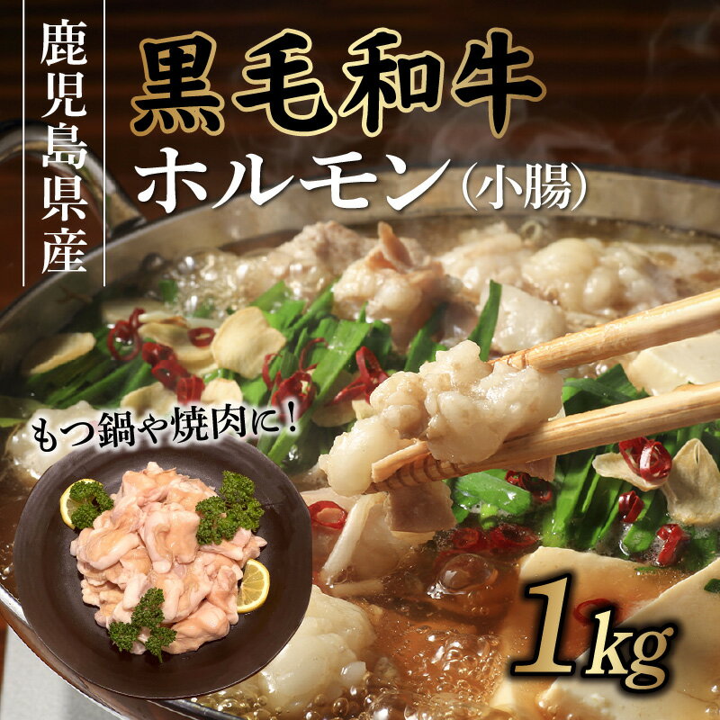 鹿児島県南九州市の画像2