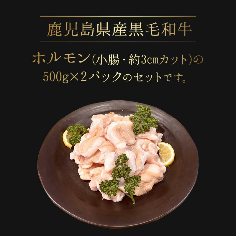 鹿児島県南九州市の画像3