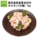 【ふるさと納税】鹿児島県産 黒毛和牛 ホルモン 小腸 500g × 2 パック 合計 1kg 柔らかく 脂が多く 食べやすい ジューシー プリプリ 国産 まるちょう もつ もつ鍋 焼肉 牛肉 牛 肉匠 いづみ屋 鹿児島県 南九州市 送料無料