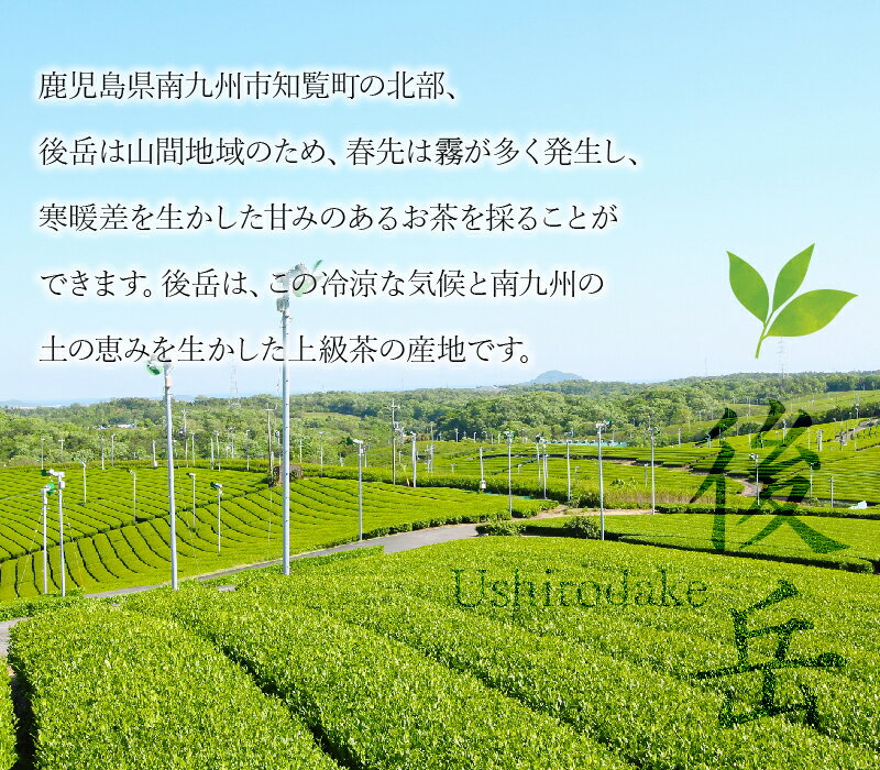 鹿児島県南九州市の画像3