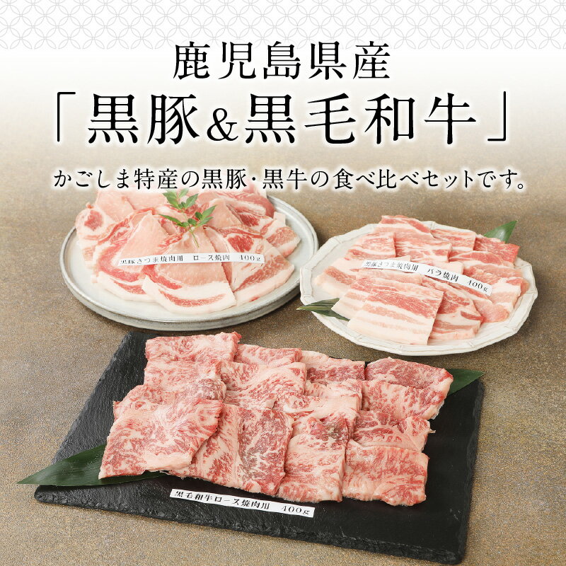 鹿児島県南九州市の画像2