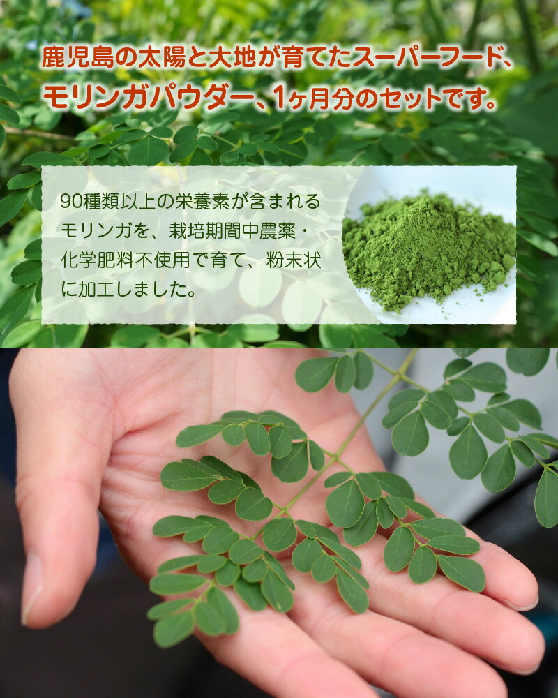 鹿児島県南九州市の画像3