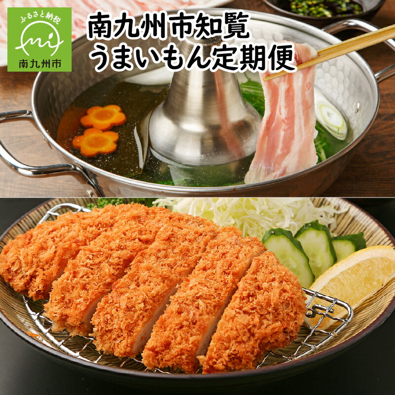 【ふるさと納税】定期便 12回 知覧 うまいもん さつま揚げ 刺身専用 鶏 セット 紅ふうき ティーバッグ...