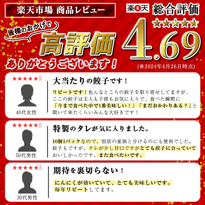 【ふるさと納税】手づくり黒豚にんにく餃子(計50個・10個入り×5P) 特製餃子のタレ付き！鹿児島 手作り 生餃子 ギョウザ 黒豚 豚肉 冷凍食品 おかず おつまみ 惣菜 小分け 焼くだけ 簡単調理 冷凍便【工房ゆう】