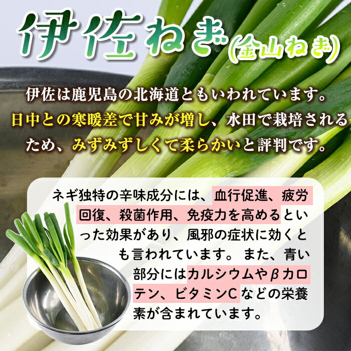 【ふるさと納税】選べる3種類！冷凍カット伊佐ねぎ(計750g・150g×5袋) 鹿児島 国産 九州産 ネギ 葱 金山ねぎ 白ねぎ 深ねぎ カットネギ 冷凍 野菜 味噌汁 薬味【工房ゆう】 3