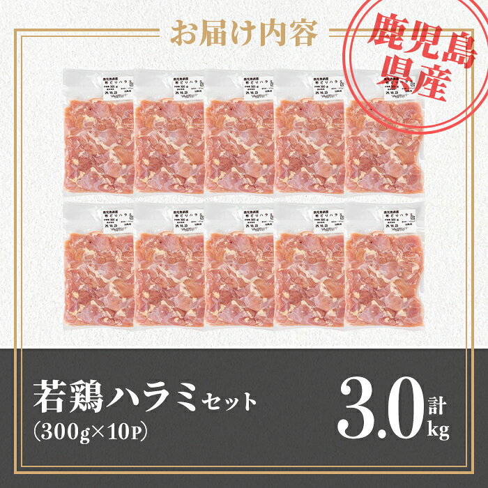 【ふるさと納税】鹿児島県産若鶏ハラミセット(計3kg・300g×10P) 鹿児島県産 国産 鶏肉 鳥肉 とり肉 ハラミ 希少部位 炭火焼き 焼肉 BBQ 炒め料理 おつまみ 真空 小分け 【TRINITY】 f462241-isa-10000804 鹿児島県伊佐市 サンプル画像3