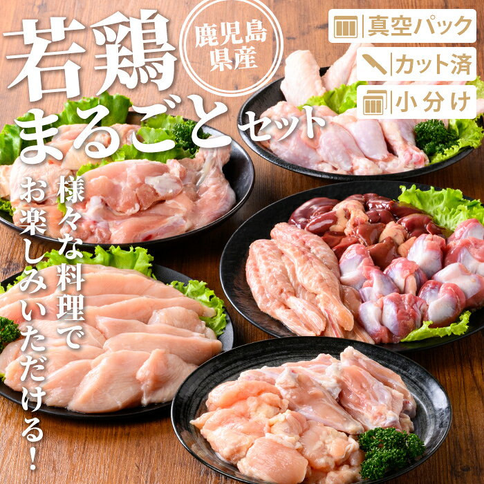 サンプル画像2