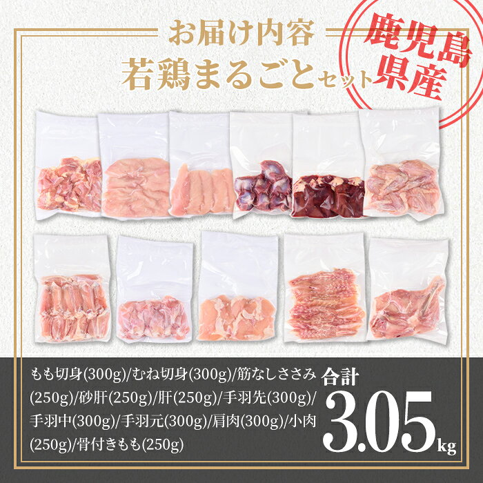 サンプル画像3