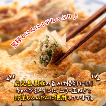 【ふるさと納税】<2021年10月発送分(10月中に発送)>手づくり黒豚にんにく餃子(計60個・10個入り×6P) 鹿児島県産黒豚肉の旨味とたっぷり野菜の相性抜群!冷凍のまま焼くだけ簡単調理【工房ゆう】【Z6-01】