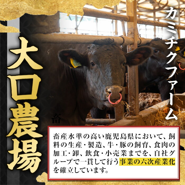【ふるさと納税】鹿児島県(カミチクファーム 大口農場)産 黒毛和牛食べ比べすきやきセット(合計600g・赤身200g×2P・バラ200g×1P) 黒毛和牛 すき焼き 食べ比べ セット 赤身 バラ 和牛 A5 ランク 霜降り 牛肉 スライス 焼きしゃぶ しゃぶしゃぶ 【お肉の直売所 伊佐店】