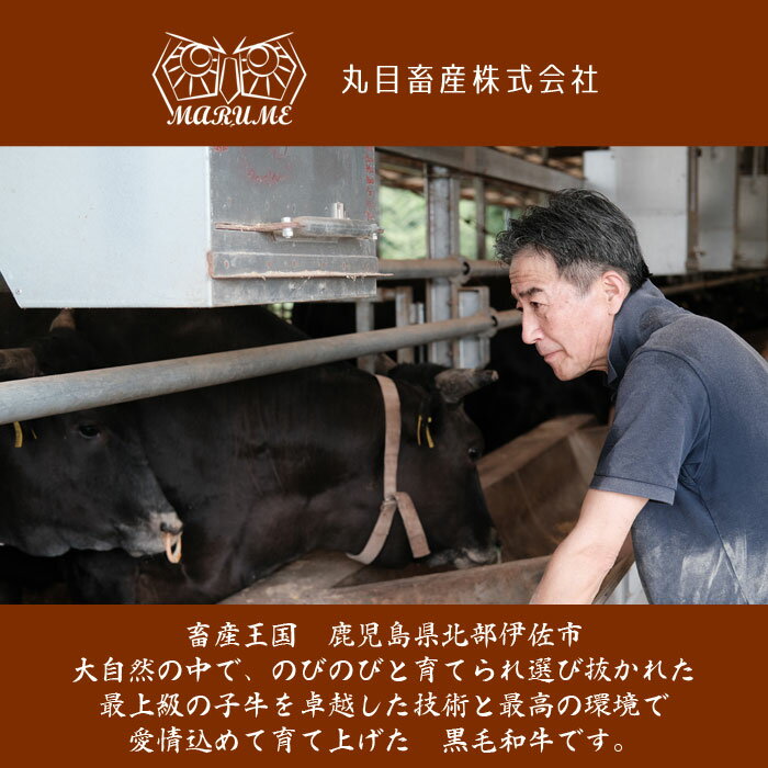【ふるさと納税】鹿児島県産黒毛和牛 伊佐黒王牛サーロインステーキ！(計1kg・250g×4パック) ブランド牛 牛肉 国産 九州産 鹿児島県産 ステーキ肉 和牛 ギフト 肉 贈り物 プレゼント 焼肉【プラン・ビー】