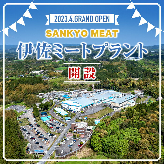 【ふるさと納税】【定期便3回】牛肉贅沢コース (合計2.05kg超) 国産 肉 牛肉 霜降り すきやき しゃぶしゃぶ 牛しゃぶ 冷凍 ロース カタロース 肩ロース リブロース ステーキ アウトドア BBQ 食べ比べ セット【サンキョーミート株式会社】