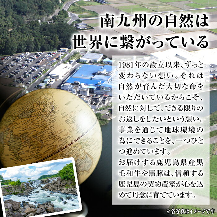 【ふるさと納税】〈選べる容量と回数〉〈訳あり〉九州産豚ロースしゃぶしゃぶセット(合計1.8kg〜7.2kg) 九州産 肉 豚肉 豚 ぶた ロース スライス しゃぶしゃぶ 個包装 パック 真空包装 冷凍【サンキョーミート株式会社】 f462241-isa-10000696 鹿児島県伊佐市 サンプル画像3