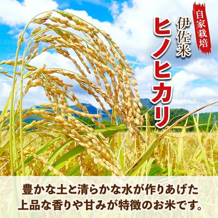 【ふるさと納税】猩々農園が作ったあまざけ(1.92kg・160g×12本)と伊佐のお米(2kg)セット！ 国産 自社農園 麹 米麹 手作り 甘酒 伊佐米 100% ノンアルコール 無添加 飲む点滴 発酵食品 米 伊佐米 ひのひかり【猩々農園】【A0-31】