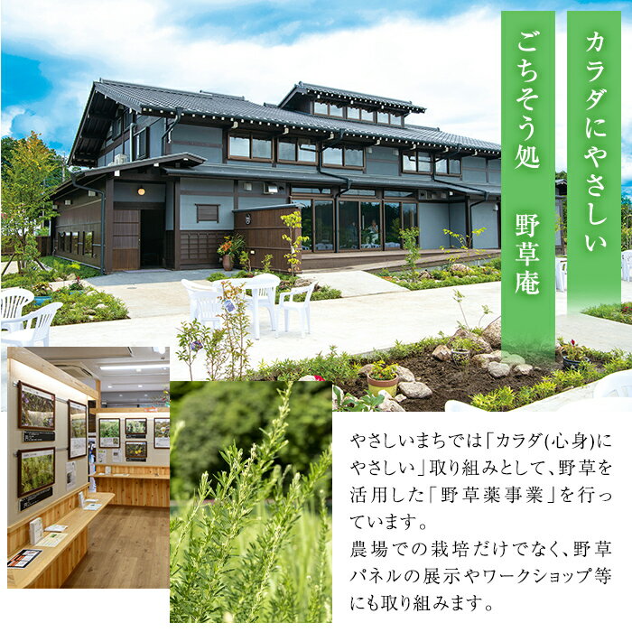 【ふるさと納税】野草滋養餃子「母の手」(計45個・15個×3P) ギョーザ ぎょうざ 鹿児島 手作り ギョウザ 豚肉 冷凍食品 おかず おつまみ 惣菜 小分け 焼くだけ 簡単調理 冷凍便【やさしいまち】
