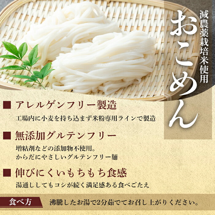 【ふるさと納税】《選べる容量・配送》おこめん(中麺) 1食100g(計6食・計10食・3回・6回・12回定期便) 麺 お米麺 グリテンフリー 定期便【アグリベースAIRA】