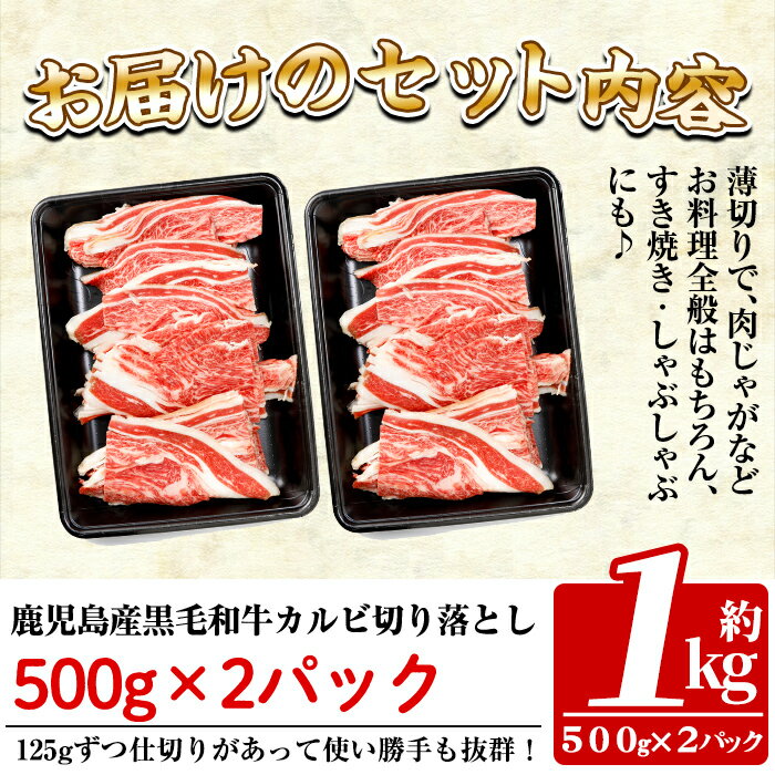 鹿児島県姶良市の画像2
