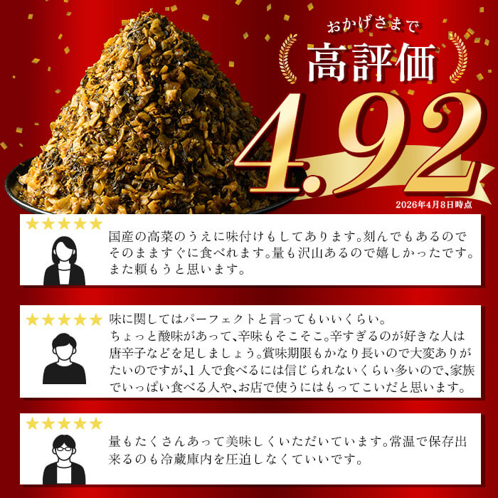 【ふるさと納税】《選べる内容量》九州産辛子高菜(1kg・4kg) 国産 九州産 たかな 漬物 漬け物 ご飯のお供 おかず おつまみ おにぎり 常温 常温保存【九州新進】
