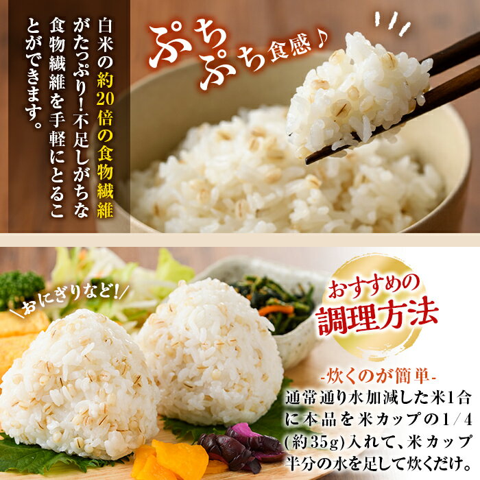 【ふるさと納税】数量限定！姶良市産はだか麦(計4kg・400g×10個)国産 姶良市 ご飯 麦ごはん はだか麦 穀物 食物繊維 小分け 【竹之内穀類産業】