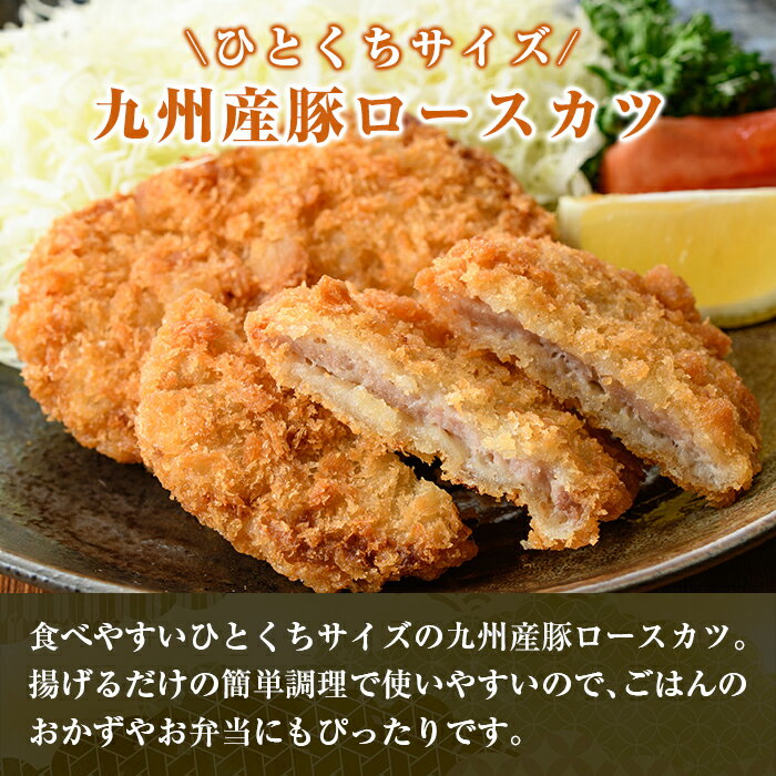 鹿児島県姶良市の画像2