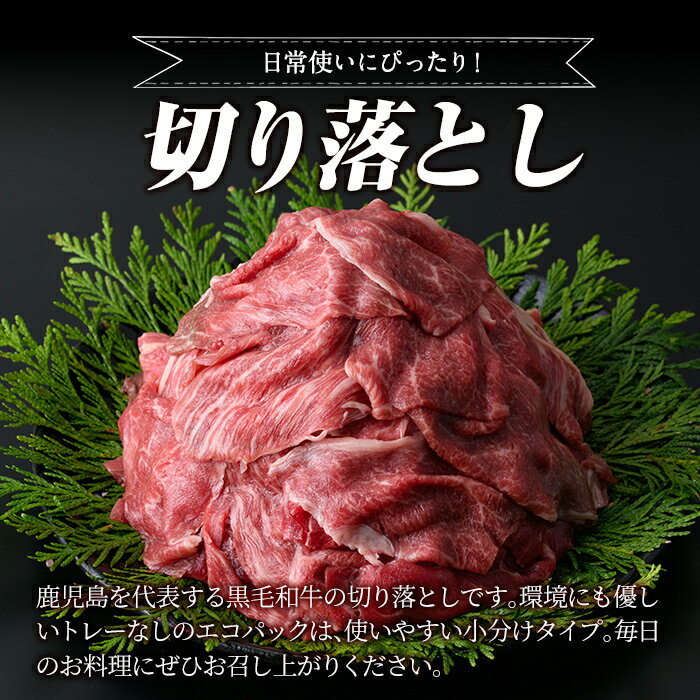 【ふるさと納税】黒毛和牛切り落とし計1.4kg超(120g×12P) 国産 肉 牛肉 黒毛和牛 切り落とし セット 小分け トレー無し SDGs 【水迫畜産】