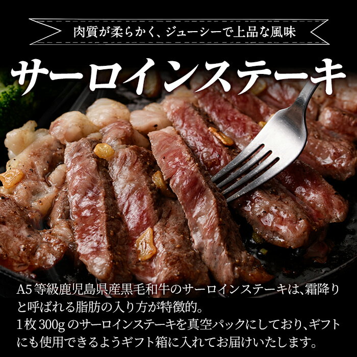 鹿児島県姶良市の画像2