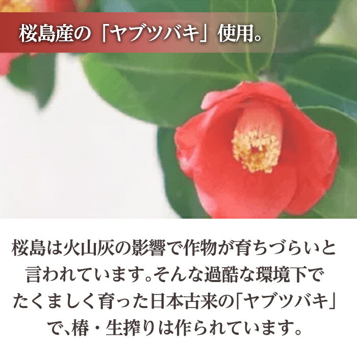 【ふるさと納税】＜本数が選べる＞椿・生搾り(30ml)鹿児島産椿実を生絞りした椿油！国産 九州 鹿児島 椿 ツバキ つばき油 椿油 油 オイル セット ヘアケア ヘアオイル【てんげん】