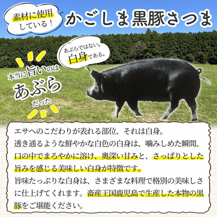 鹿児島県姶良市の画像3